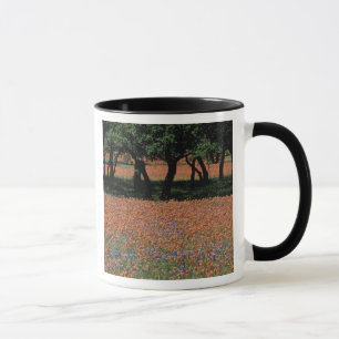 Mug NA, Texas, Texas Hill Country, barrage de Buchan,