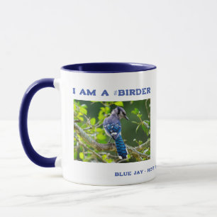 Mug Nature Photographie Shy Blue Jay Birder