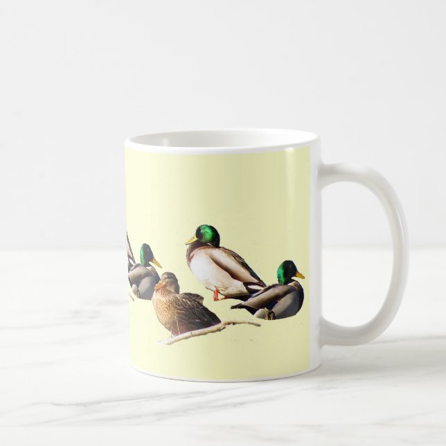 Mug Neuf Canards Mallard (Droite)