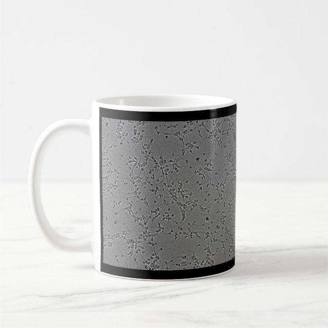 mug neurons (Left)
