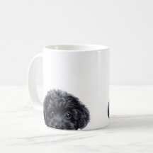 Noir de caniche de jouet