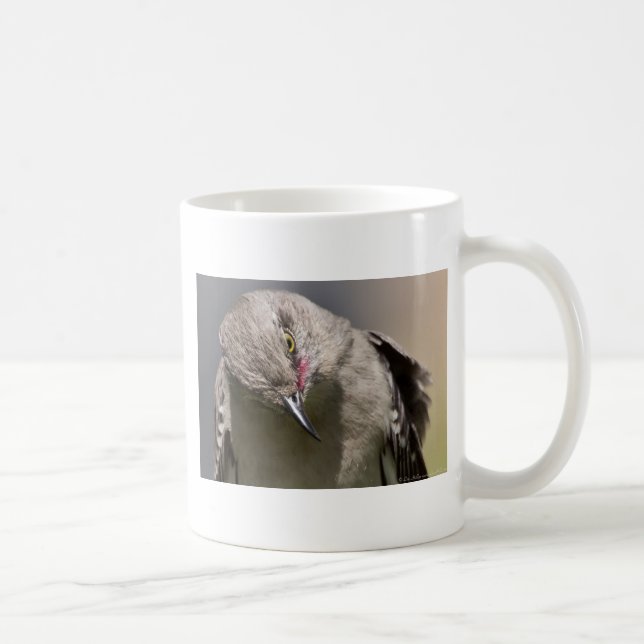 Mug Northern Mockingbird prend un Bow Appareils & cade (Droite)
