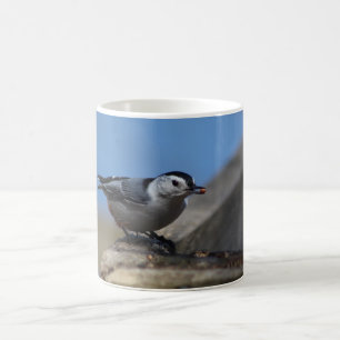 Mug Nuthatch