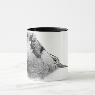 Mug Nuthatch, Oiseau Blanc