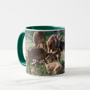 Mug Nyala élégant – Nature africaine
