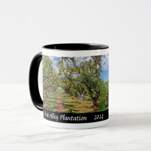 Mug Oak Alley Plantation, Louisiane - Oak Trees