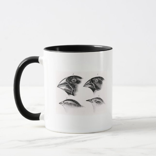Mug Observations de l'oiseau de Darwin (Gauche)