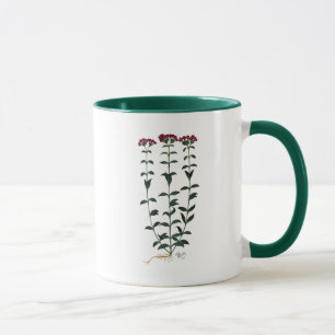 Mug Oeillet italien 6