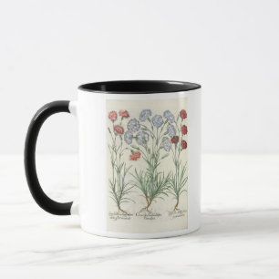 Mug Oeillets : albo multiplex du flore 1.Caryophyllus