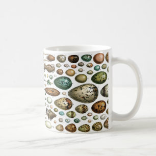 Mug Oeufs pour le petit déjeuner ?