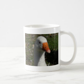 Mug Oie