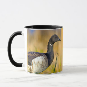 Mug Oie de Brant 
