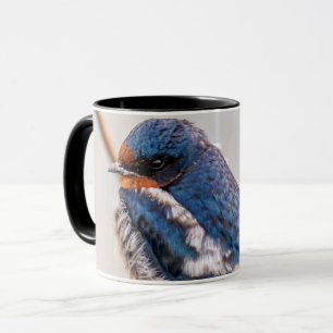 Mug Oiseau bleu, hirondelle de grange