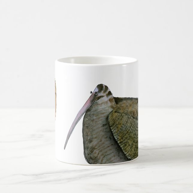 Mug oiseau de bécasse des bois avec l'oeuf, fernandes (Centre)