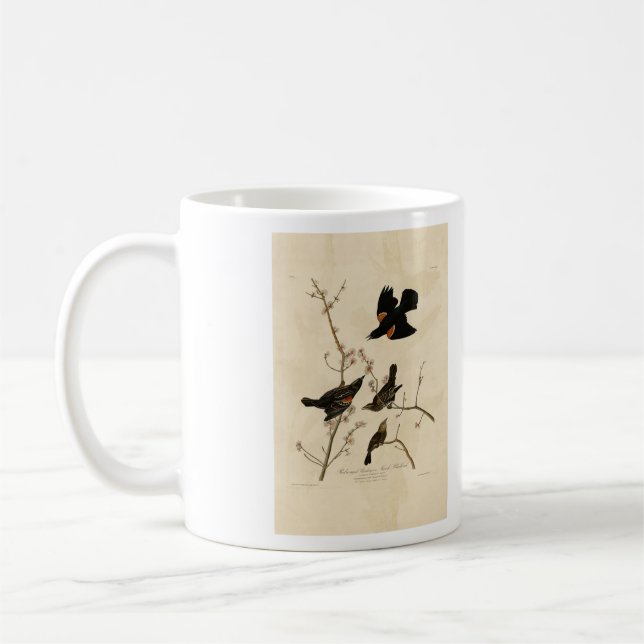 Mug Oiseau noir à ailes rouges - Oiseaux d'Amérique d' (Gauche)