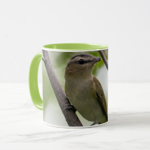 Mug Oiseau vert, Vireo à yeux rouges, Photographie can