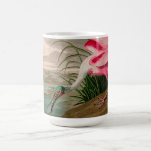 Mug Oiseaux d'Amérique de spatule de rose Audubon Impr