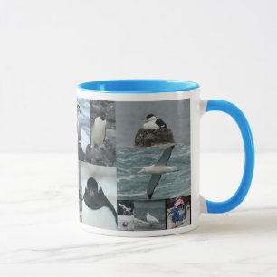 Mug Oiseaux de l'Antarctique