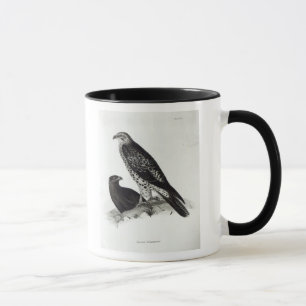 Mug Oiseaux de proie