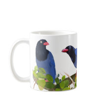 Oiseaux --Pie bleue de Taïwan