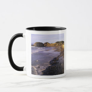 Mug OR, côte de l'Oregon, Newport, rivage à Seal