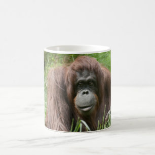Mug Orangoutan