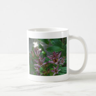 Mug Orchidée blanche rayée violette rose comme lys de