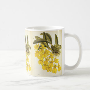 Mug Orchidée Oncidium jaune vintage, fleurs tropicales