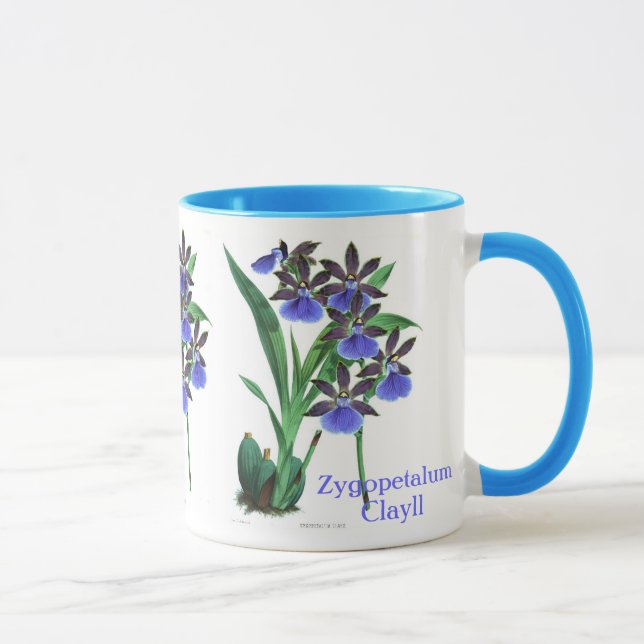 Mug Orchidée Zygopetalum Clayll (Droite)