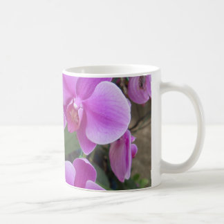 Mug Orchidées