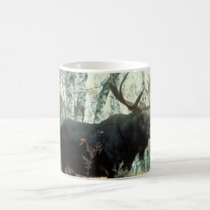 Mug Orignaux énormes