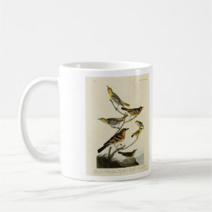 Mug Orioles, Thrushes, des Oiseaux d'Amérique d'Audubo