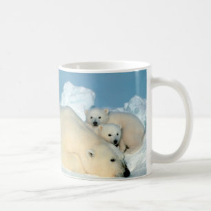 Mug Ours blanc et CUB par Steve Amstrup