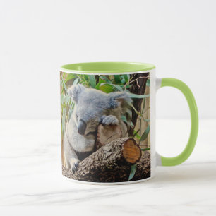 Mug Ours de koala mignon de sommeil