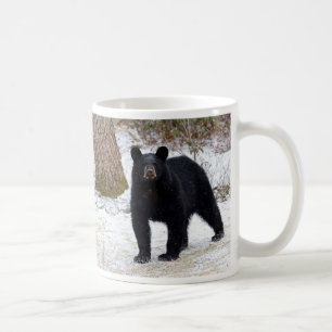 Mug Ours noir de la Pennsylvanie en hiver