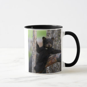 Mug Ours noir ourson paresseux