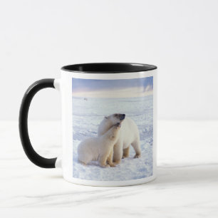 Mug Ours polaire femelle avec ourson, banc