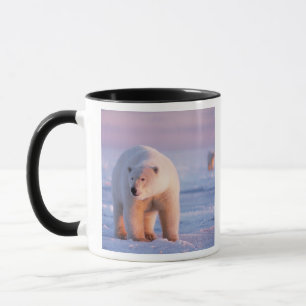 Mug ours polaire, Ursus maritimus