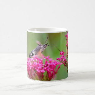Mug Papillon-mouche à colibri en vol