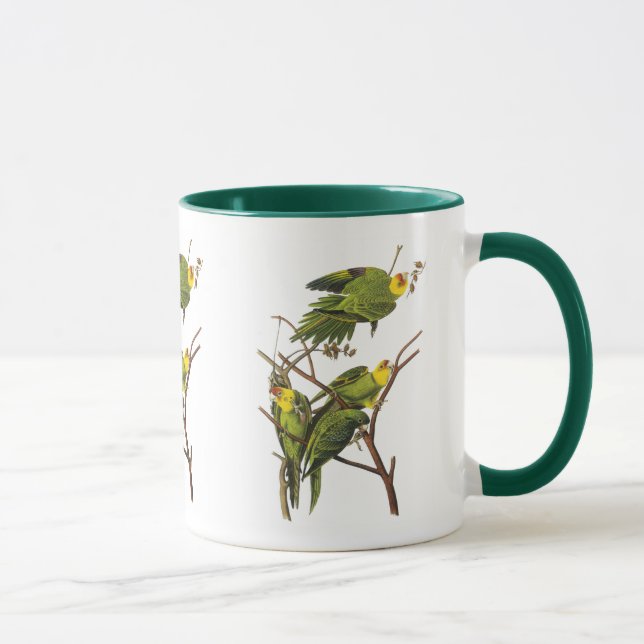 Mug: Parakeet - by John Audubon Mug (Right)