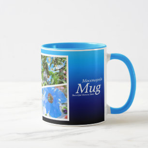 Mug Pavot bleu de l'Himalaya [Combo Mug] マ グ カ プ