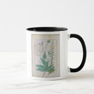 Mug Pavot et Figwort