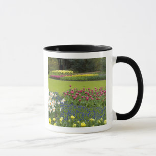 Mug Pays-Bas aka Hollande), Lisse. Keukenhof 5