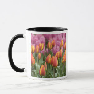 Mug Pays-Bas (alias Holland), Lisse. Keukenhof