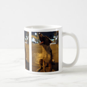 Mug Pee Mai... Soi Dog, Thaïlande