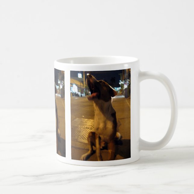 Mug Pee Mai... Soi Dog, Thaïlande (Droite)