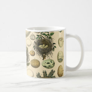 Mug Peinture artistique de nid d'oeuf d'oiseau vintage