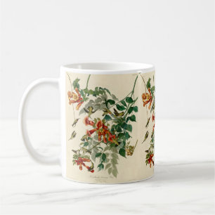 Mug Peinture d'Audubon sur le colibri à gorge rubis