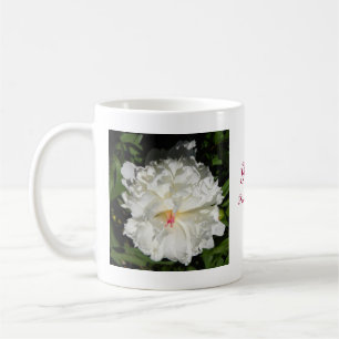 Mug peony gros plan Paeonia lactiflora