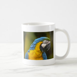Mug Perroquet
